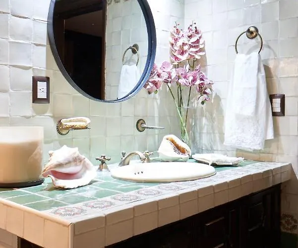 Сasa de vacaciones Amazinn Cdmx Coyoacan México DF