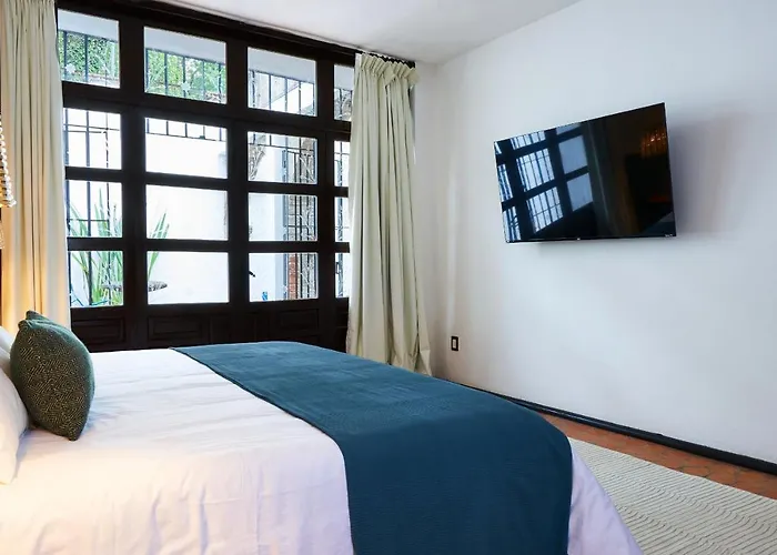 Сasa de vacaciones Amazinn Cdmx Coyoacan *