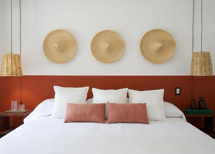 Amazinn Cdmx Coyoacan Сasa de vacaciones México DF