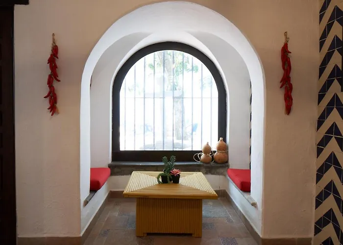 Amazinn Cdmx Coyoacan * México DF