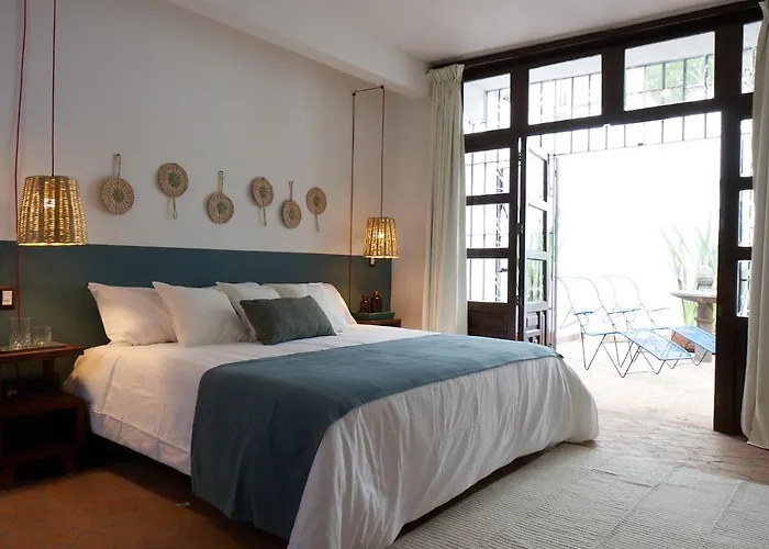 Сasa de vacaciones Amazinn Cdmx Coyoacan *